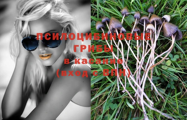 Альфа ПВП Алексеевка