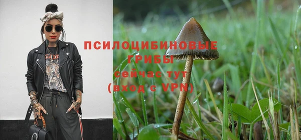 MDMA Алзамай