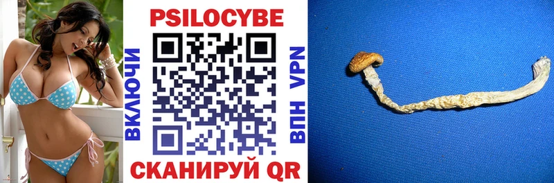 мега онион  Чайковский  Псилоцибиновые грибы мухоморы 