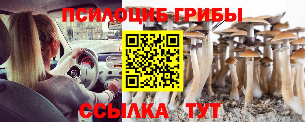 цена   Псилоцибиновые грибы Magic Shrooms  Вход с VPN  Чайковский 