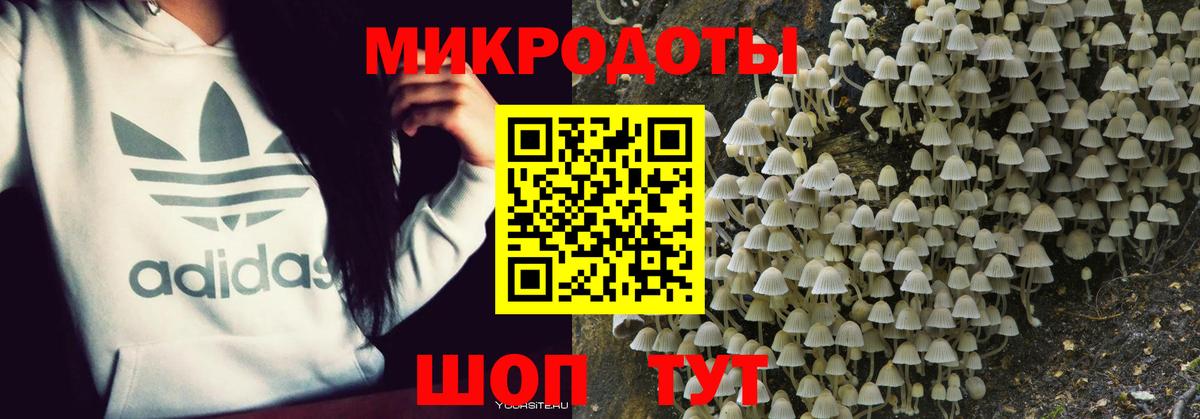 Галлюциногенные грибы прущие грибы Чайковский